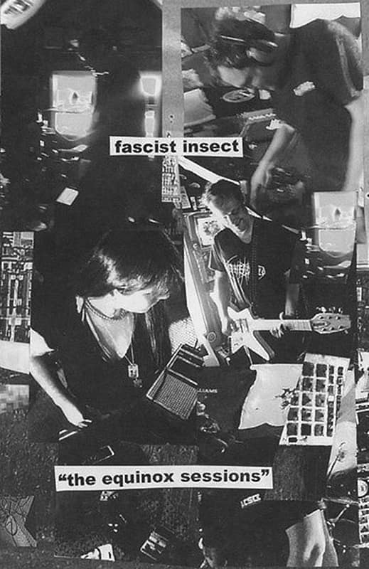 Fascist Insect