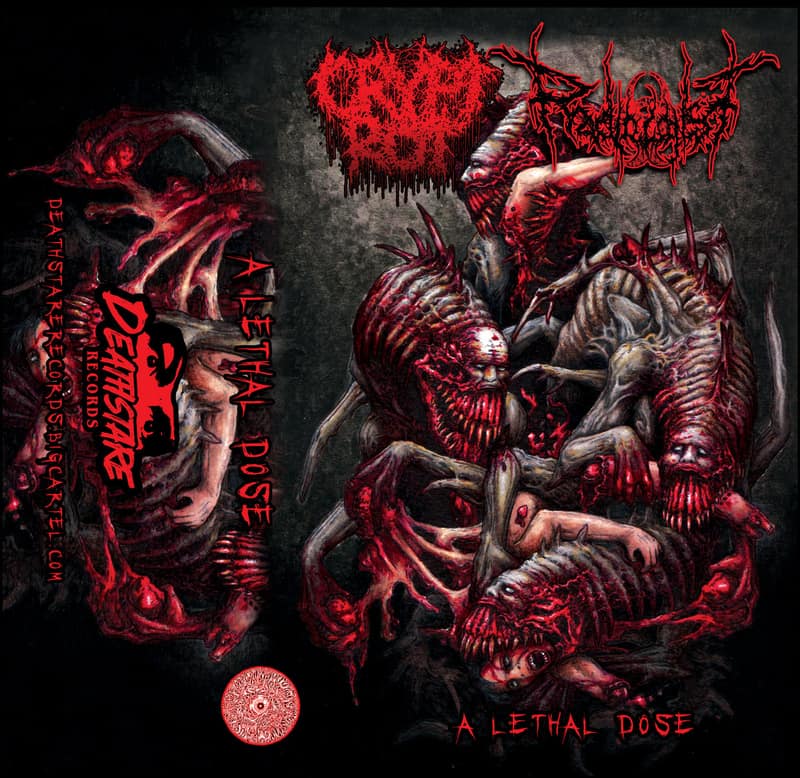 Crypt Rot
