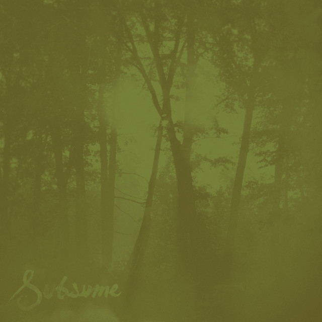 Subsume (2020 Remaster)
