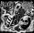 Split with Fumigated