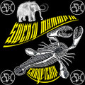 Eurypterid