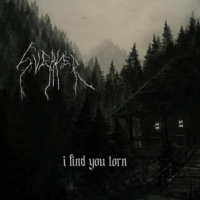 I Find You Torn
