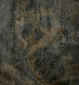 Glimpse of the Bahamut