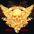 Perfect World
