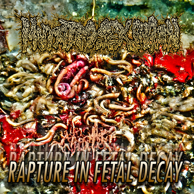 Rapture in Fetal Decay