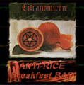 Anti-Rice Breakfast Bar