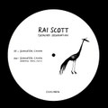 Paradise Crane