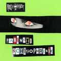 Paranoid Schizophrenic
