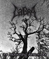 As Mourning Descends